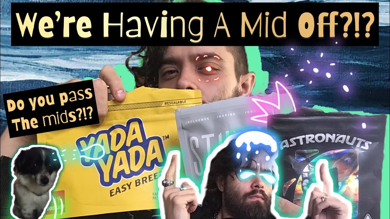 Actual Mid Off!?! (STIIIZY VS TRADITIONAL)