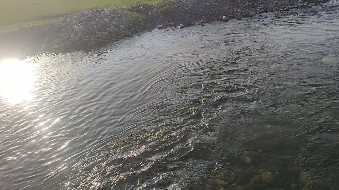 54  Kille prime agriculture land for sale near  mukerian district Hoshiarpur contact 9876021123