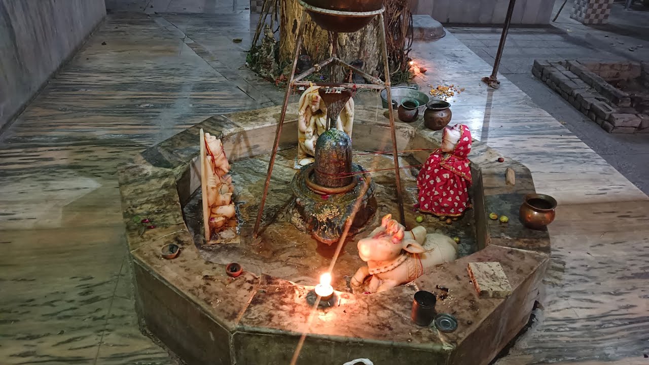 Day- 904 सिद्ध श्री बाबा गाजी कमाल मंदिर🛕(झज्जर , हरियाणा) , 06 March 2026 #aksaini1997 #bhakti