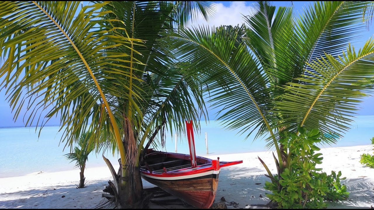 Malediwy, Nilandhoo - wakacje 2024