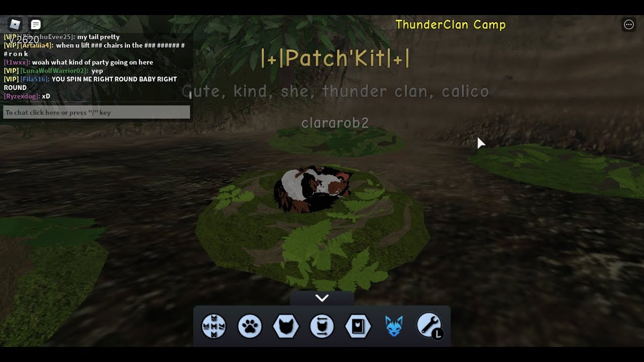 I got in warrior cats ultimate edition test server for the first time! (read description)
