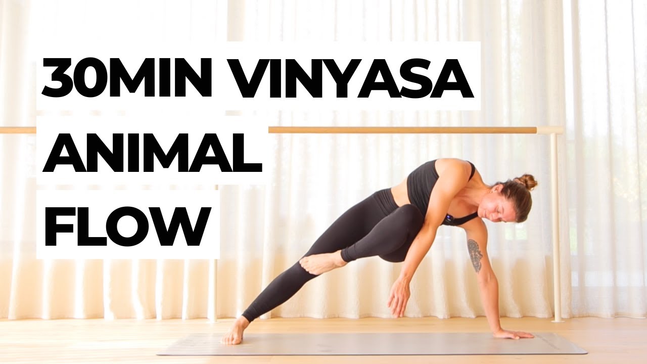 30Min Vinyasa With ANIMAL FLOW