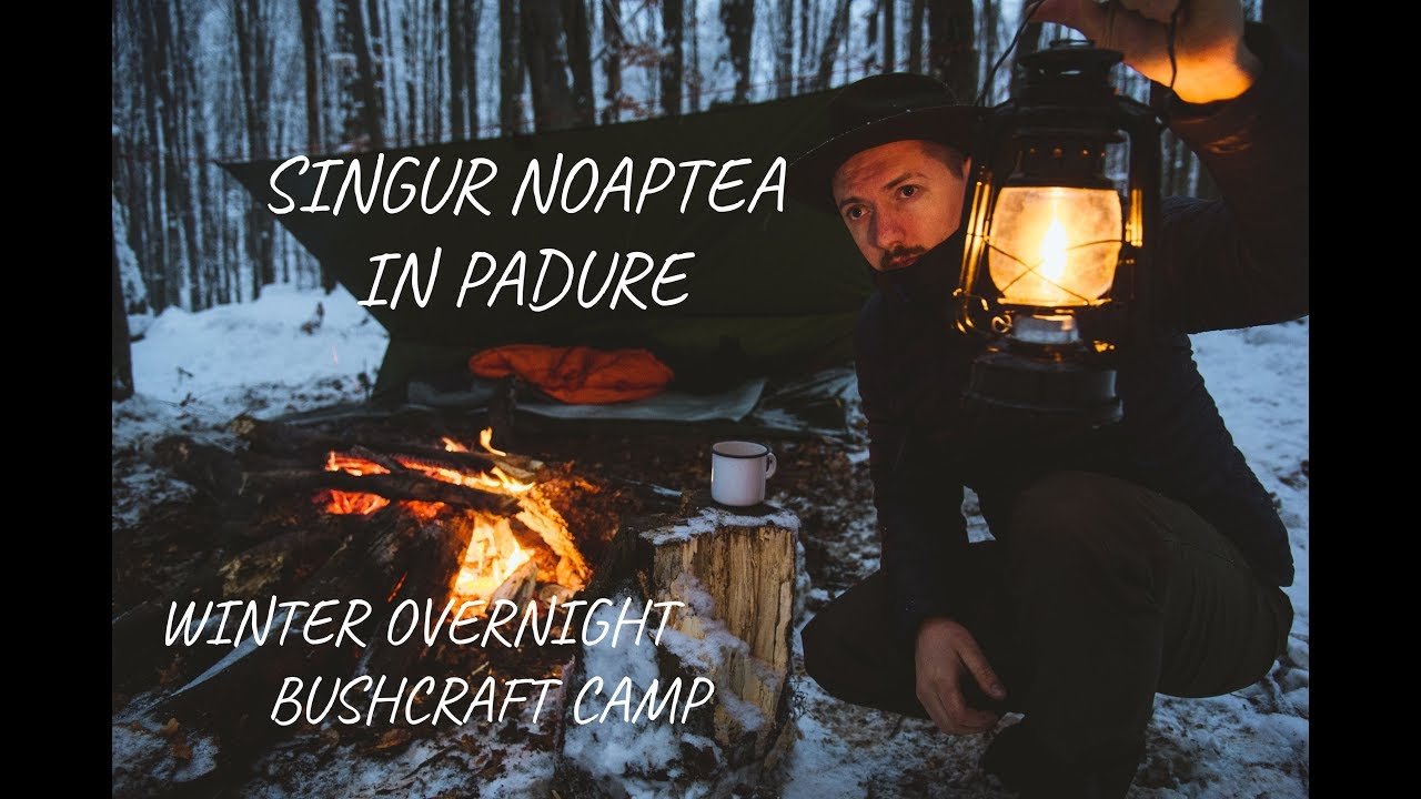Noapte de Iarnă Singur în Pădure - Camping în Sălbăticie