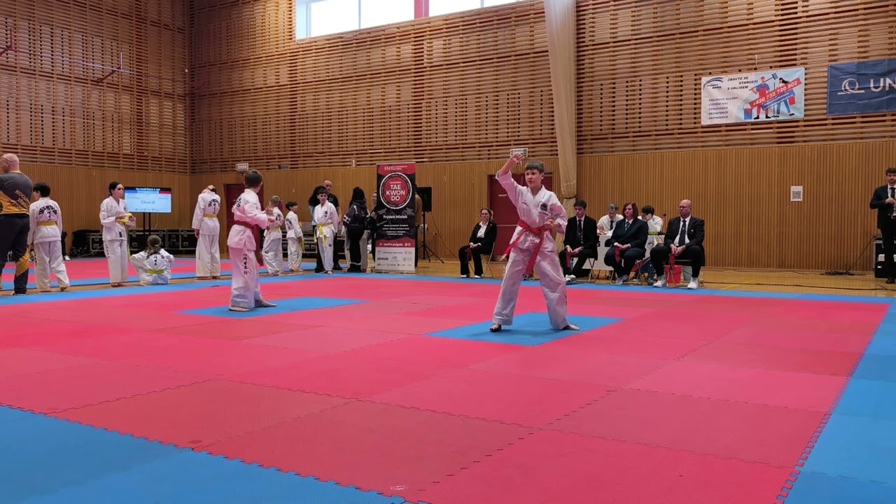 FM OPEN Taekwondo 17.01.2026 Frýdek-Místek, Czech Republic