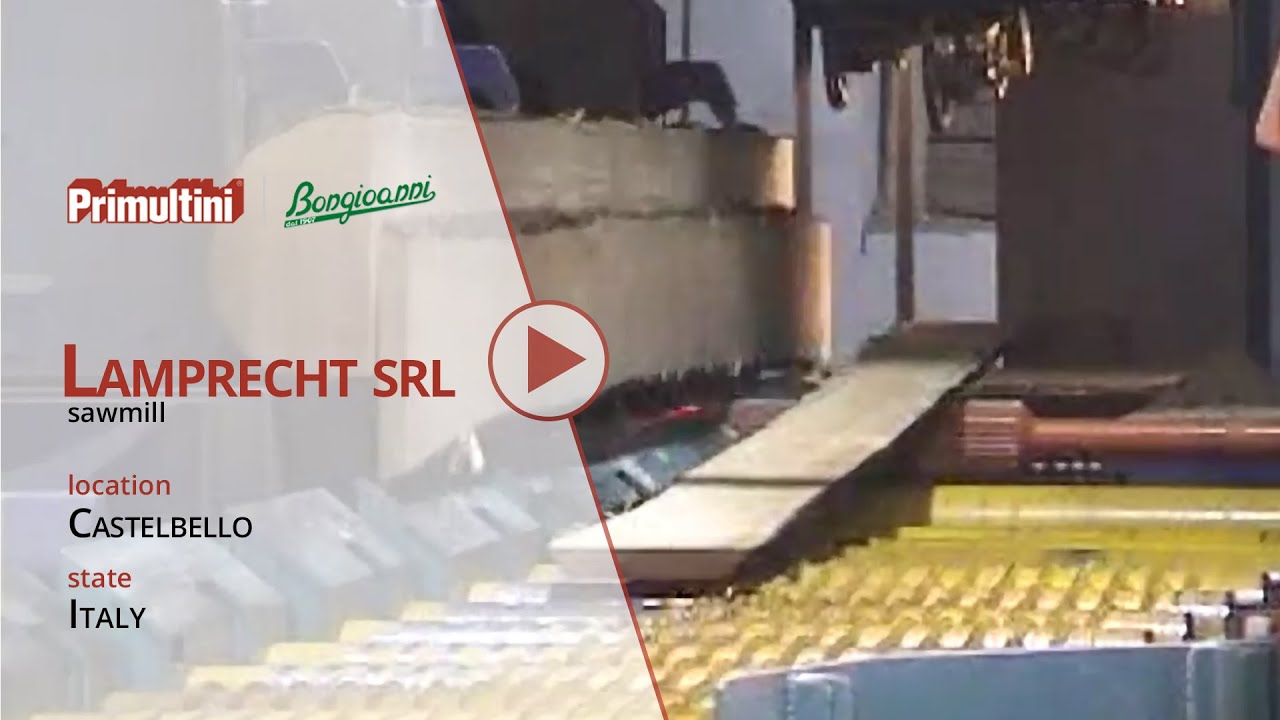 Sawmill Lamprecht - Tandem headrigs - Primultini