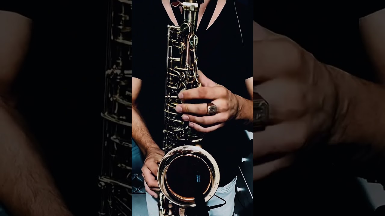 Александр Эгромжан - Держи меня земля (SAX cover by OMSAX)