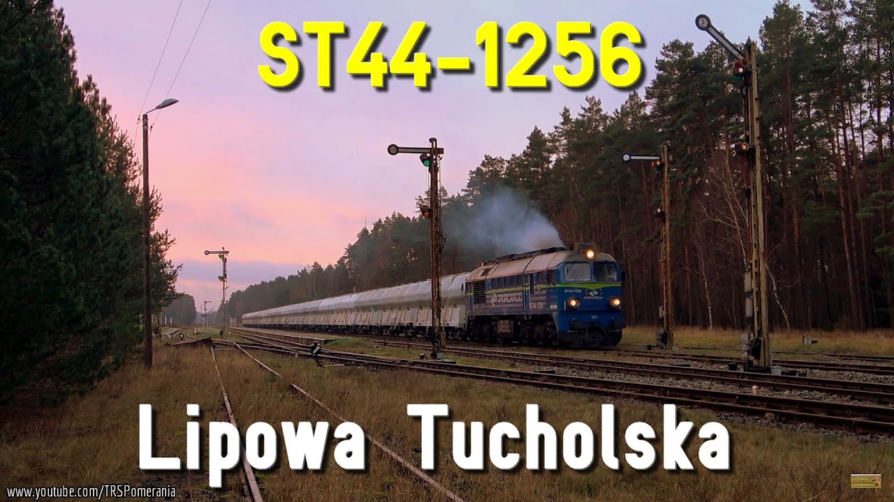 Świetlisty borowy poranek w Lipowej Tucholskiej z ST44-1256 // Dawn at Lipowa Tucholska & ST44-1256