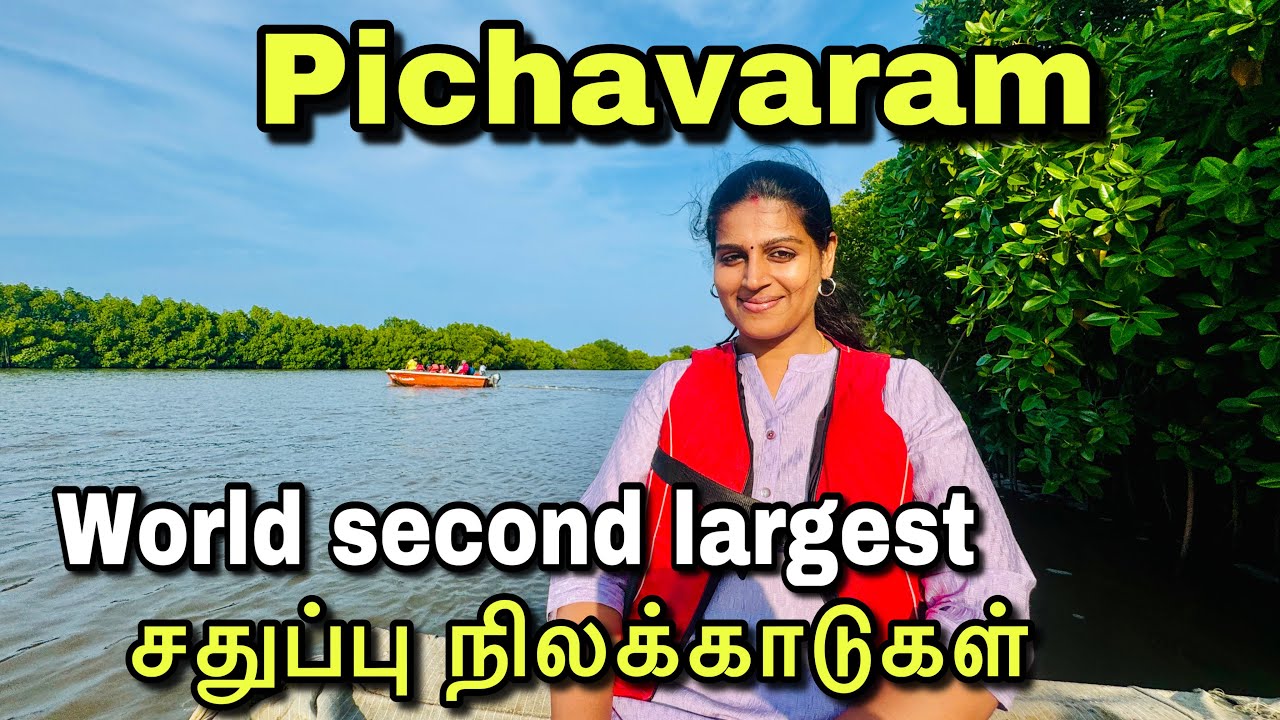 PICHAVARAM- The Mangroove Forest | Must Visit Place in Tamilnadu | Chidambaram | EcoTourism