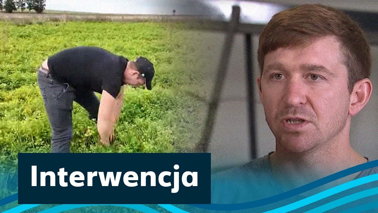 Czeska firma oszukała polskich rolników. Straty liczone w milionach
