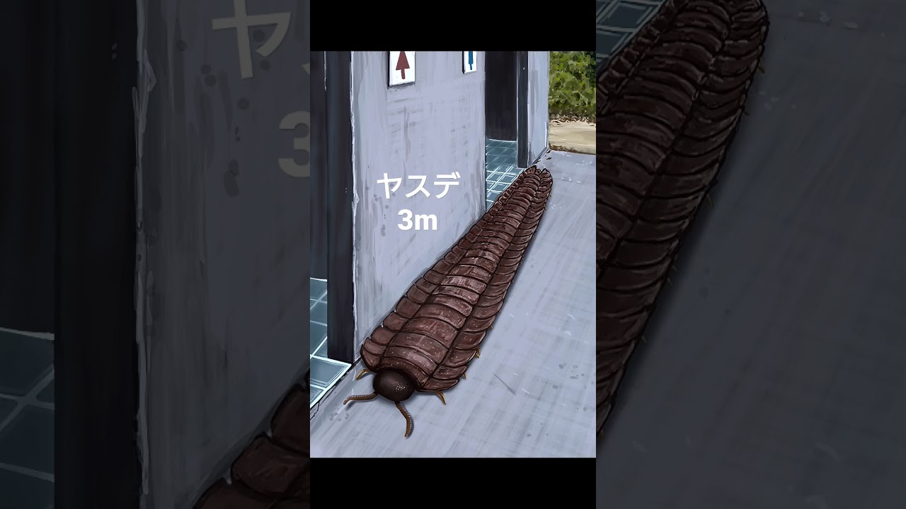 【古代生物】巨大な虫たち。今いたらこんな感じ。 #shorts
