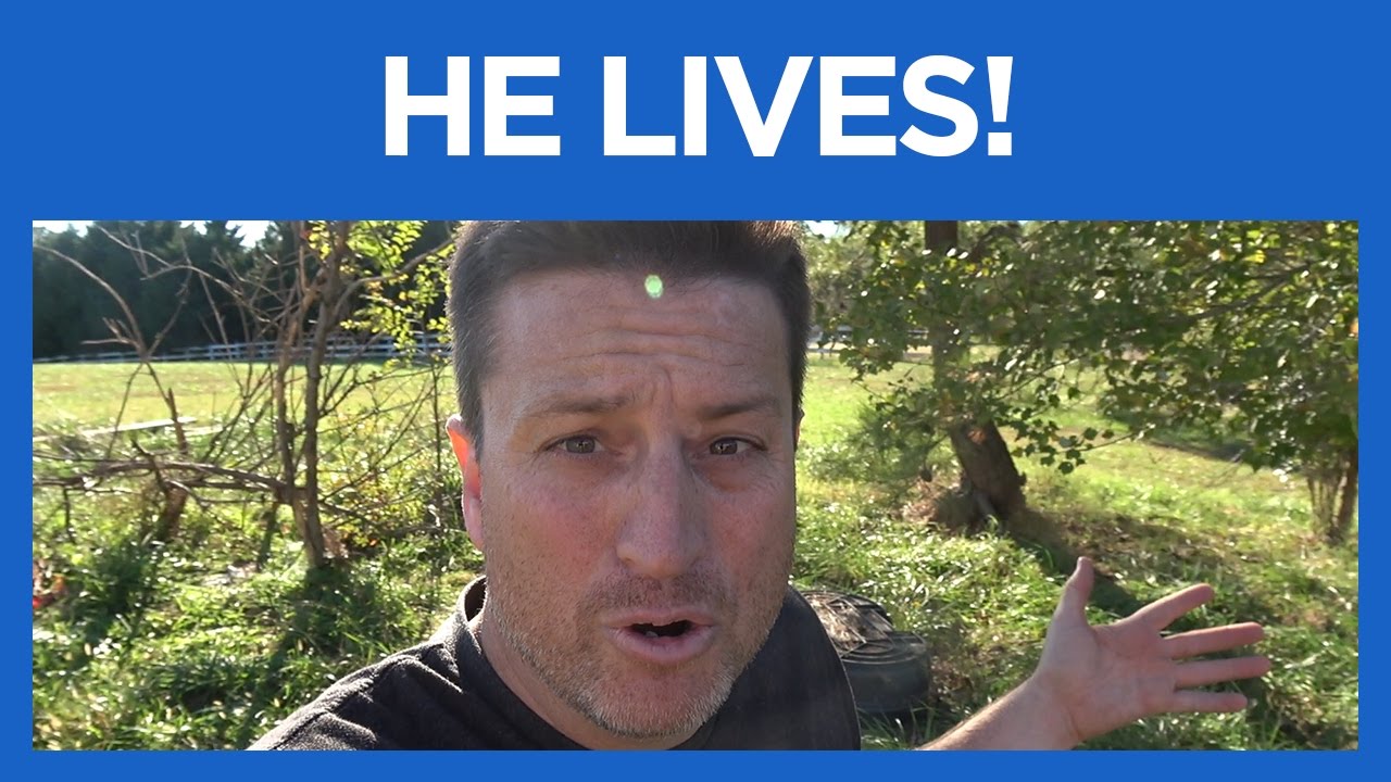 What the heck?  A Woody Vlog!
