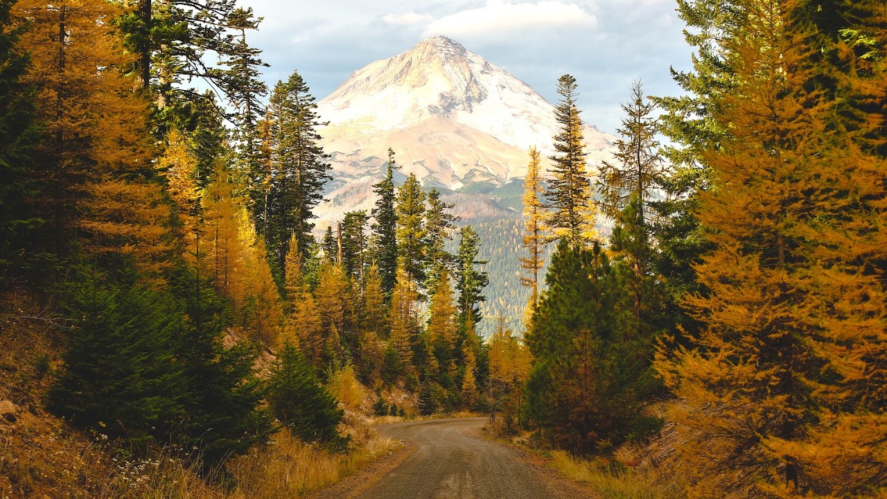 September Winding Autumn Roads, Instrumental Acoustic Indie/Folk Playlist, Open Road Folk Music