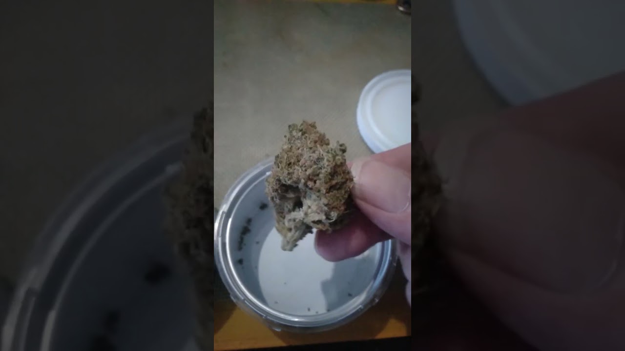 SATIVITE,EURROKA CIRTADELIC SUNSET X SOUR MANGO 29%THC