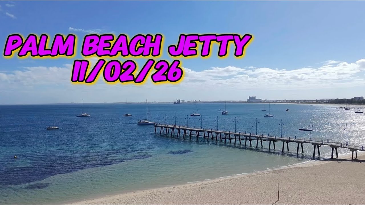 SCUBA DIVING | PALM BEACH JETTY 11/02/26