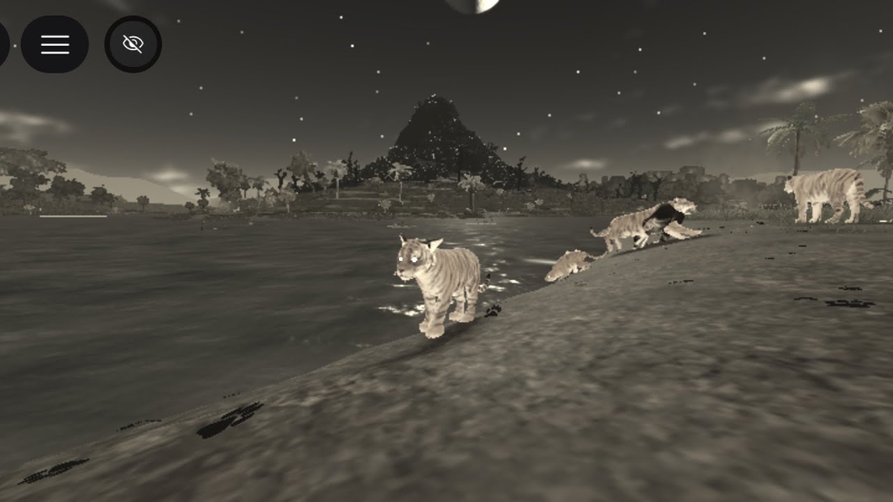 Crescendo de tigre Até o adulto