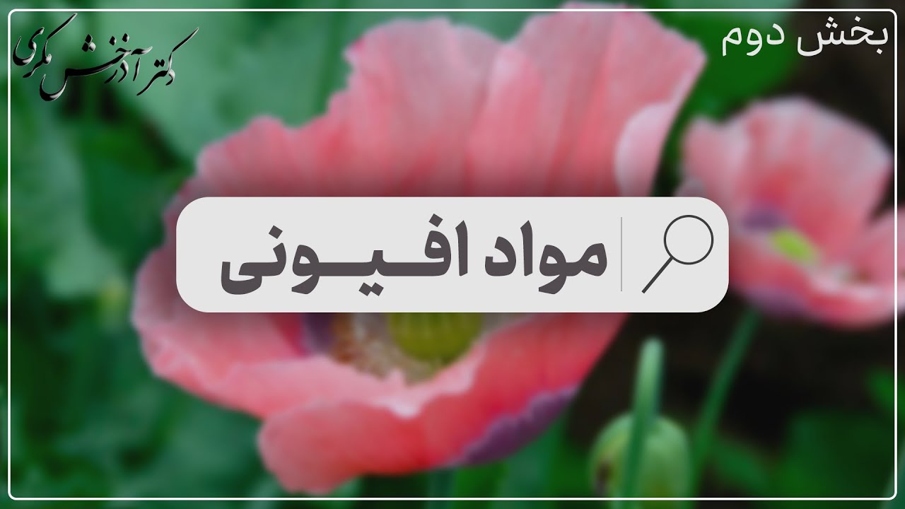 مواد افیونی | بخش دوم | دکتر آذرخش مکری