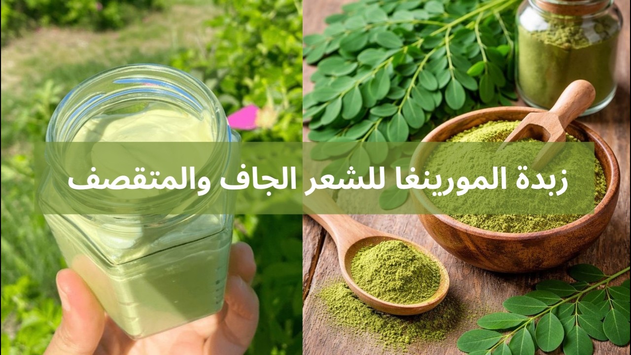 زبدة  المورينغا للشعر الجاف المتقصف والمتضرر والمجعد اصنعيها بنفسك