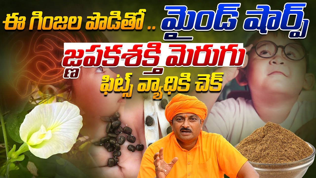 ఈ గింజల పొడితో మైండ్ షార్ప్ జ్నపకశక్తి మెరుగు, ఫిట్స్ వ్యాధికి చెక్ | Dr. Ravivarma | AYUR MANTRA