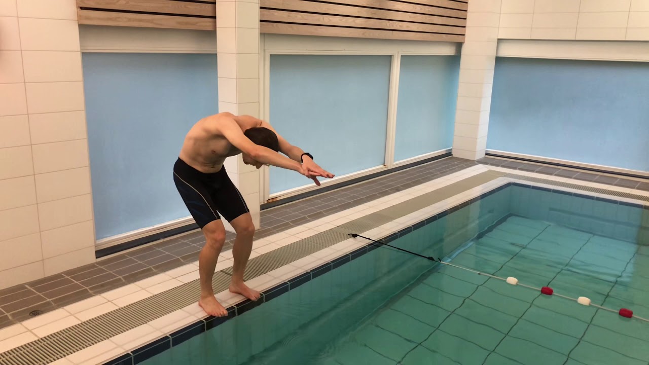 Dolfijn; 8/8 Duik en door twee hoepels zwemmen; hoofd naar beneden