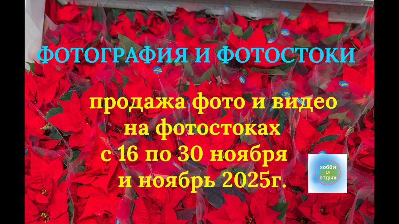 Фотография и фотостоки. Продажи фото и видео. Итоги с 16 по 30 и ноябрь 2025 г. Хобби и отдых.