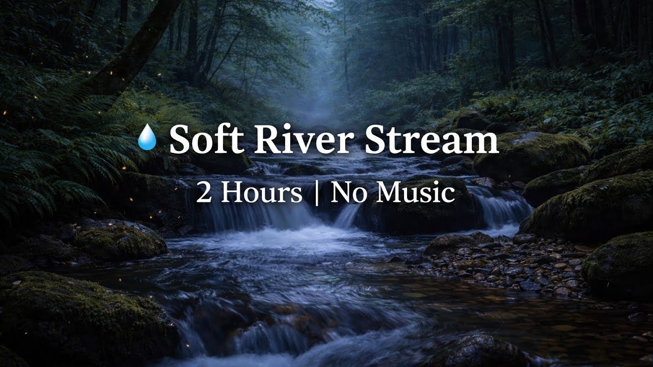 Soft River Stream 💧 | 2 Hours | No Music | 잔잔한 계곡 물소리 2시간 수면용