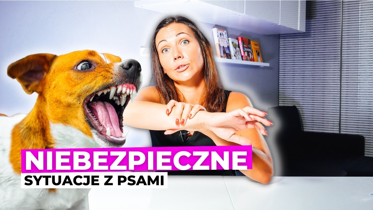 NAJNIEBEZPIECZNIEJSZE sytuacje z psami w moim życiu!