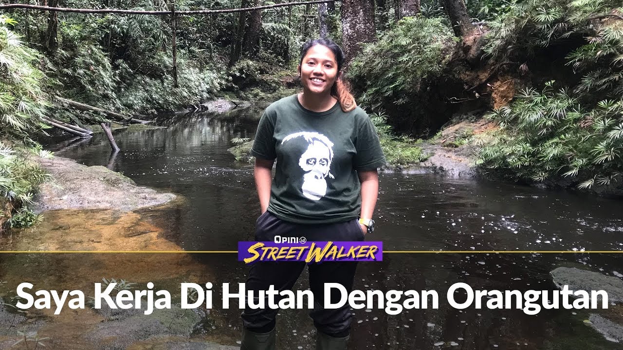 Peneliti Muda Penjaga Satwa Batangtoru | STREETWALKER
