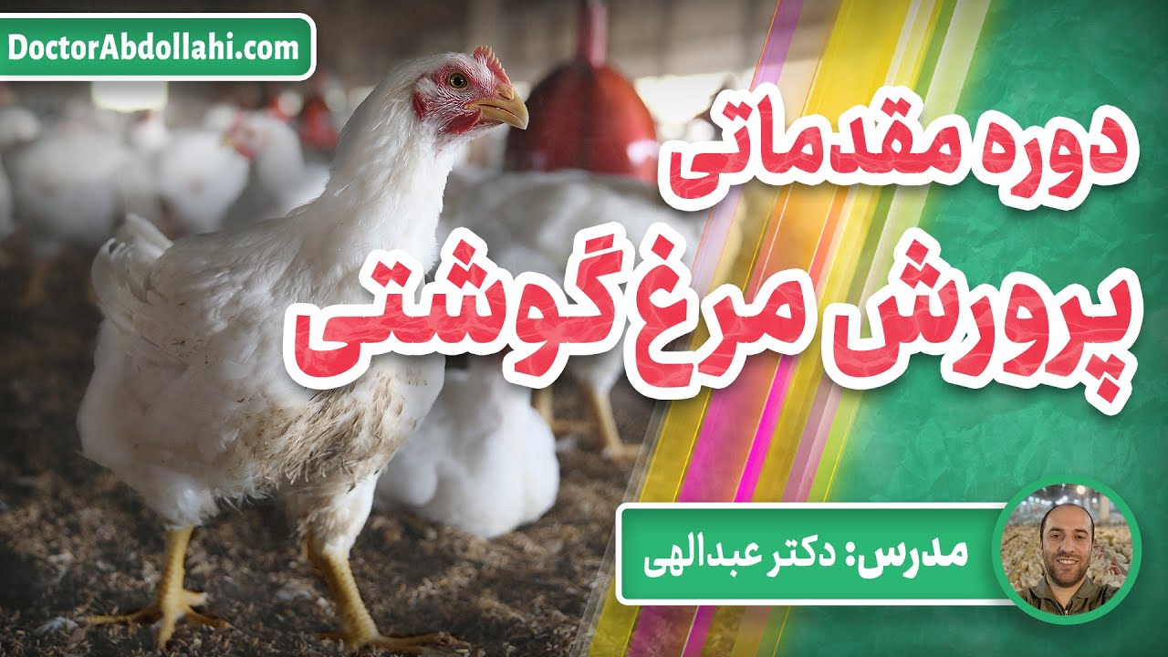 ویدئو معرفی دوره مقدماتی پرورش مرغ گوشتی