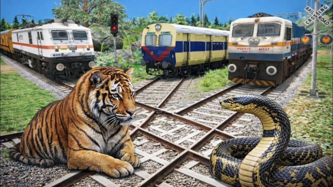 Three Trains Vs Tiger & Giant Snake #2 – Stops the Train | Train Simulator