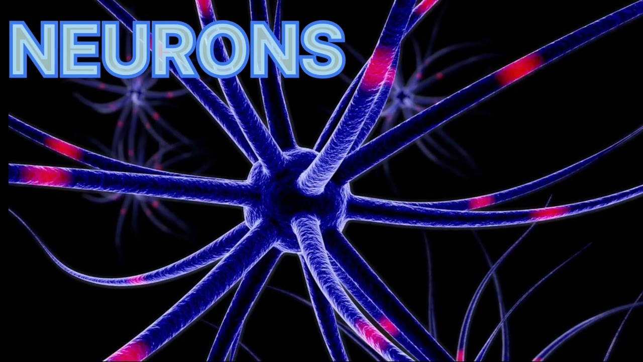 NEURON HINDI