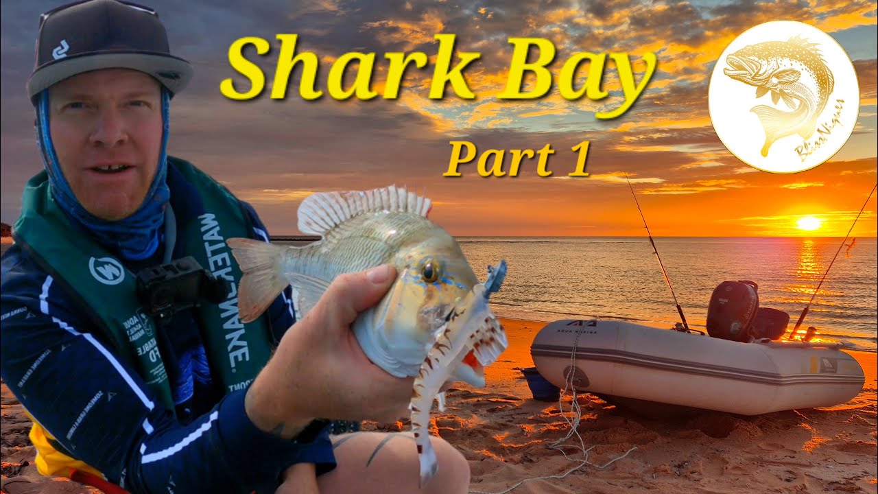 Fishing and Camping at 1 of my favourite locations in Aus, Catch and Cook Part 1. Ep.92