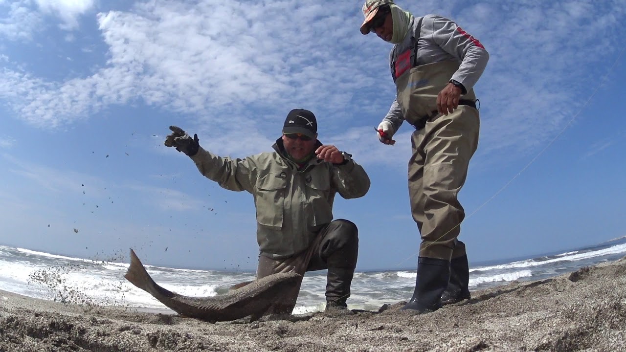 Ilo - Peru / Pesca de corvinas 8,600 gr  las mejores Gringas 10 Feb 2018