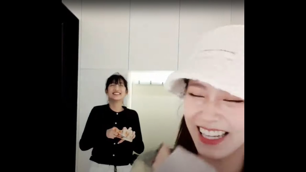 행복 전도하는 댕자 웃음소리