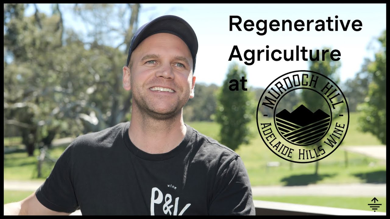 Building soil in vineyard via regenerative agriculture and the 'Grazing Naturally Method'