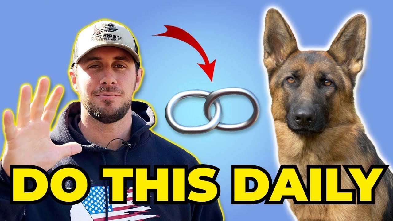 5 Ways to Build a Better Bond with Your Dog
