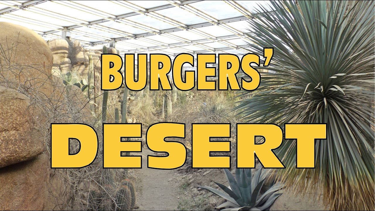 Burgers Zoo Desert