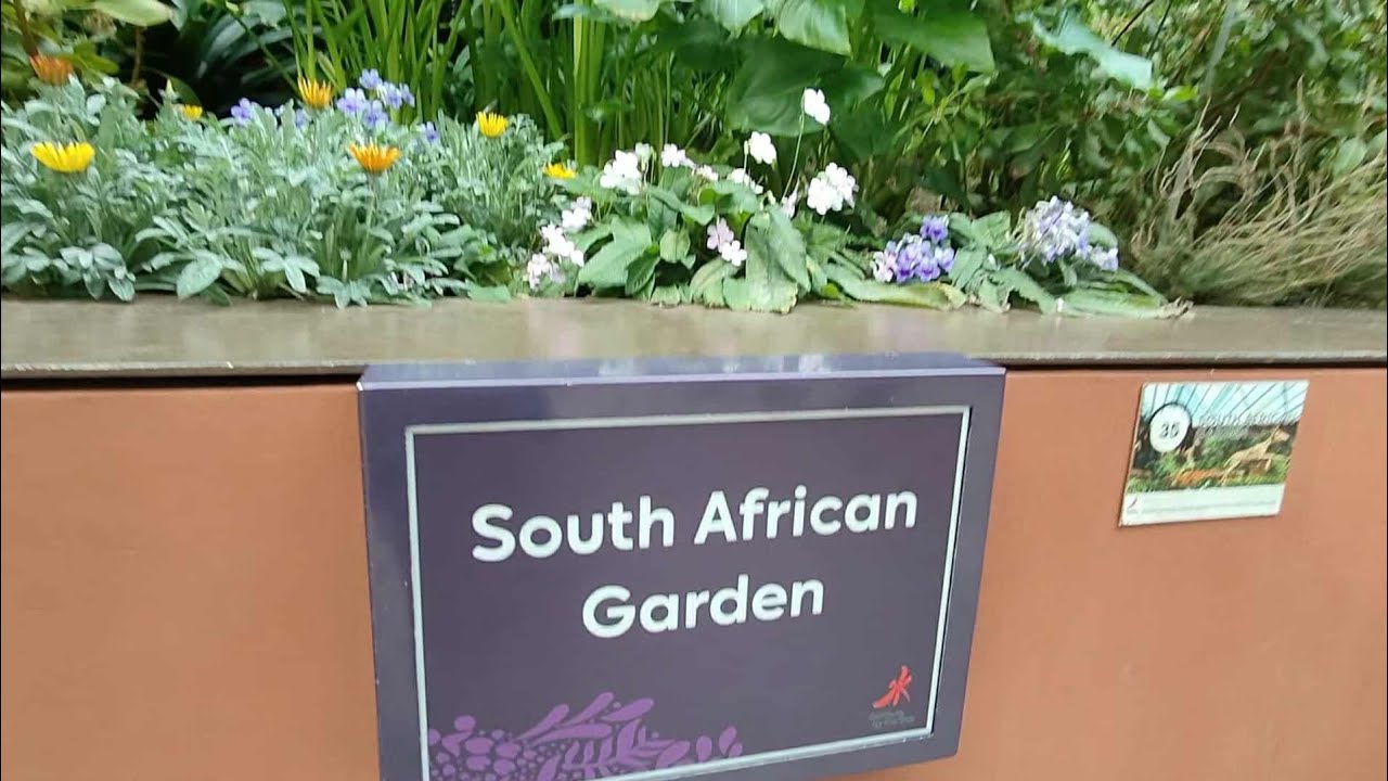 South African Garden at Flower Dome Singapore 2025
