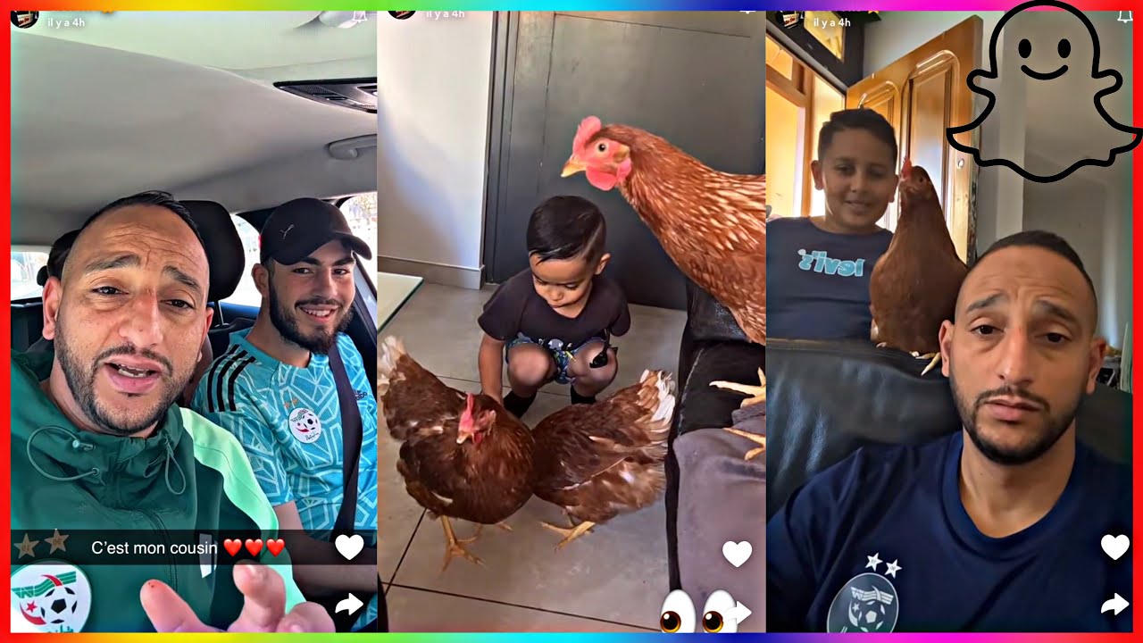 Crevette, avec son cousin zampiexoff #snap #nasdas #chienneté #teamnasdas #zampiex #crevette