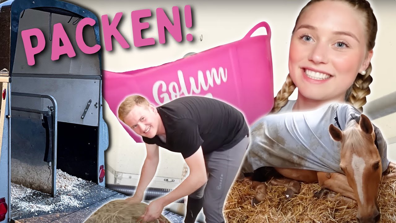 VORBEREITUNGEN auf das PFERDECAMP!