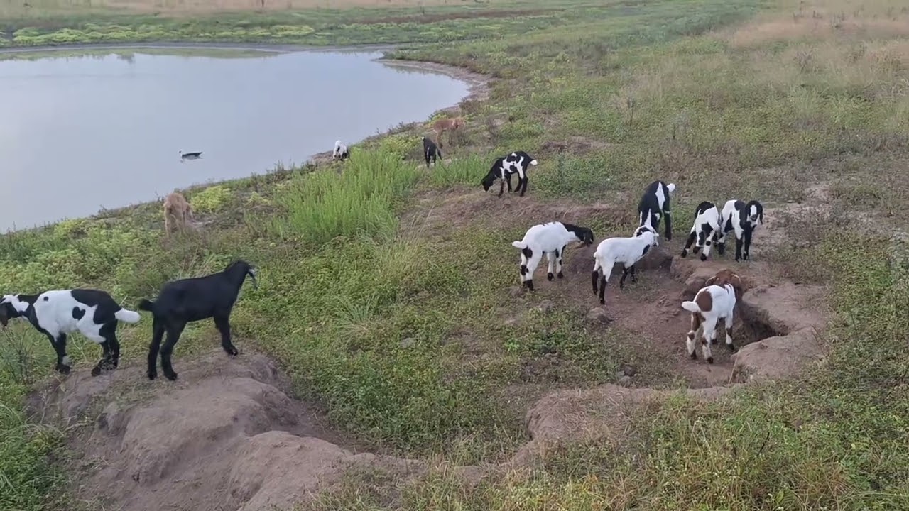 Mostrando natureza do nordeste 