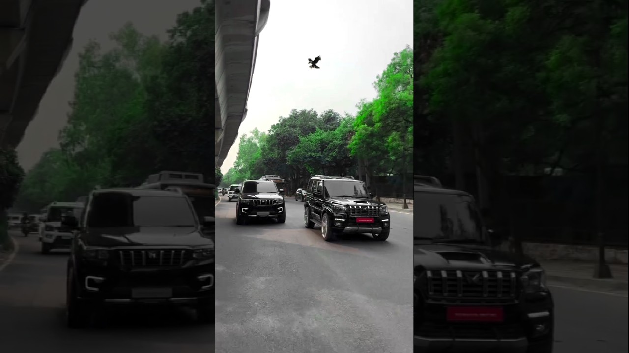 Scorpio classic s11 z black #scorpio #scorpiolover #mahindra #viralvideos