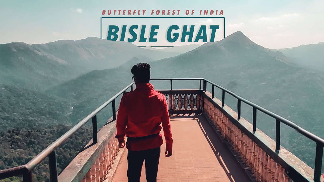 Crazy Ride to ಚಿಟ್ಟೆ Forest of India | Bisle ghat | Udupi to Coorg