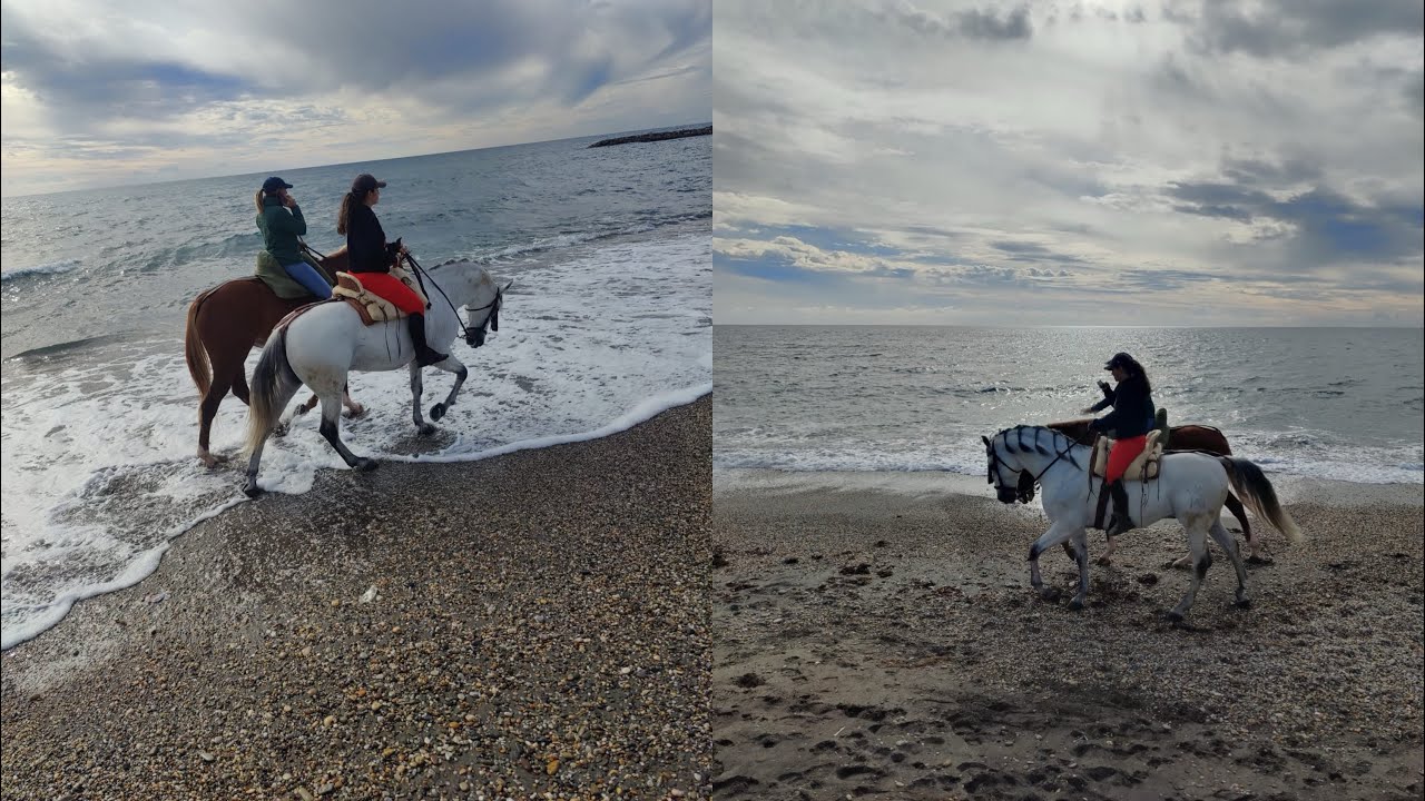 Excursión a la playa 🏝️ || Próximos planes 📆 