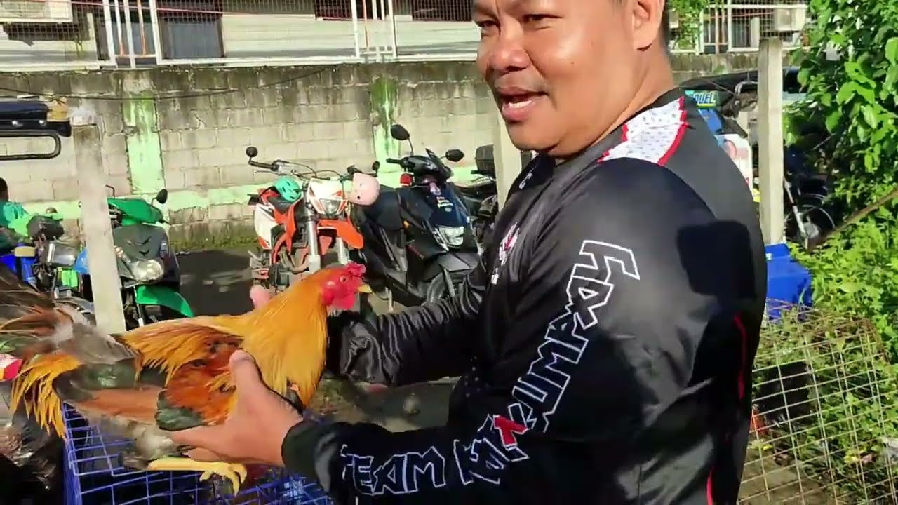 boss dario namili nanaman ng ipaparafle sa vlog nya.