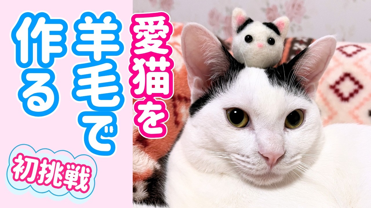 【邪魔する猫】愛猫を羊毛で作る日常。