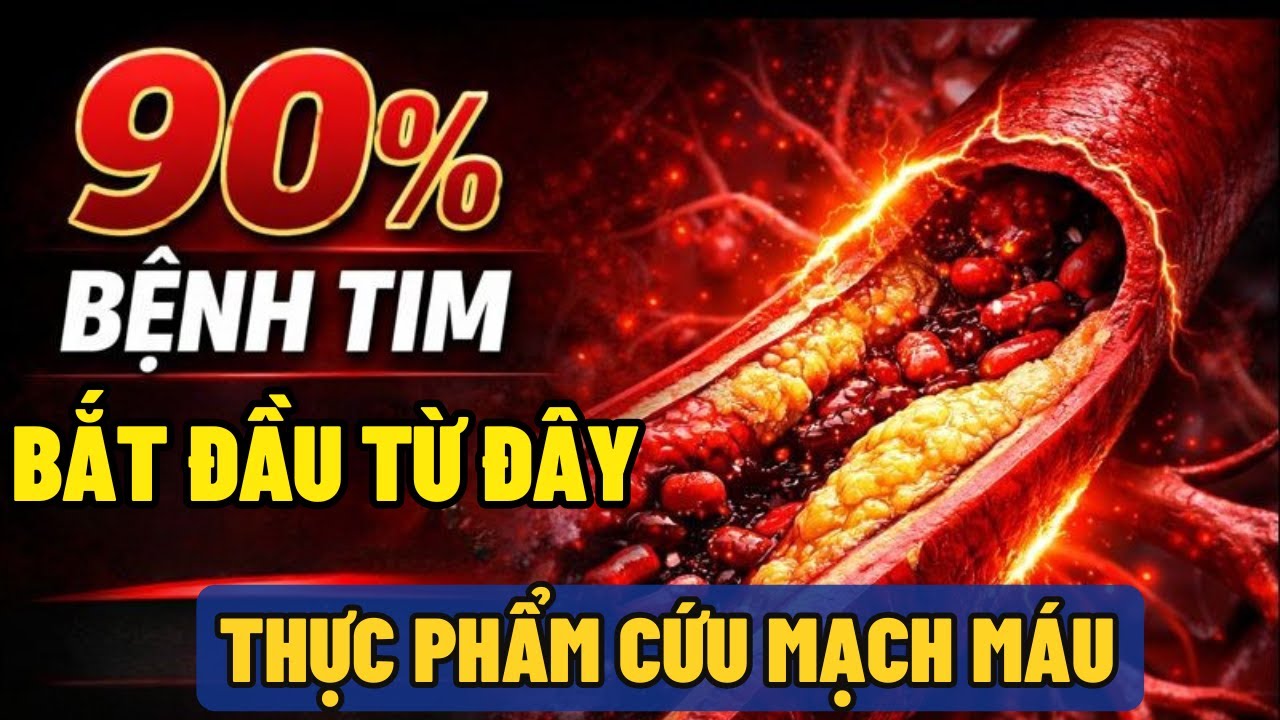 90% BỆNH TIM BẮT ĐẦU TỪ MẠCH MÁU | Thực Phẩm Ít Ai Ăn Đúng
