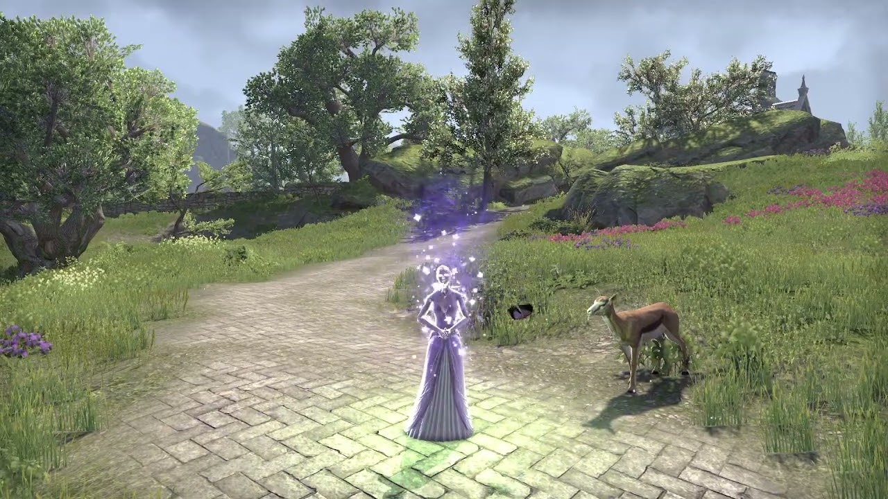 Elder Scrolls Online: Passion Dancer Garment