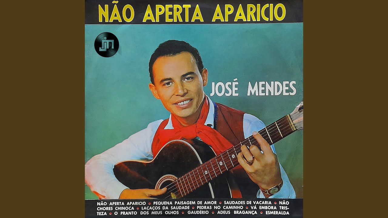 La&ccedil;os de Saudade