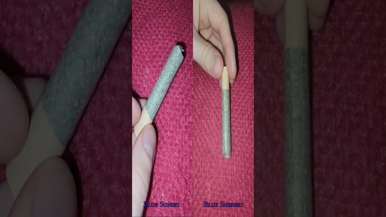 Roll test - Blue Sunset + Blue Sherbet