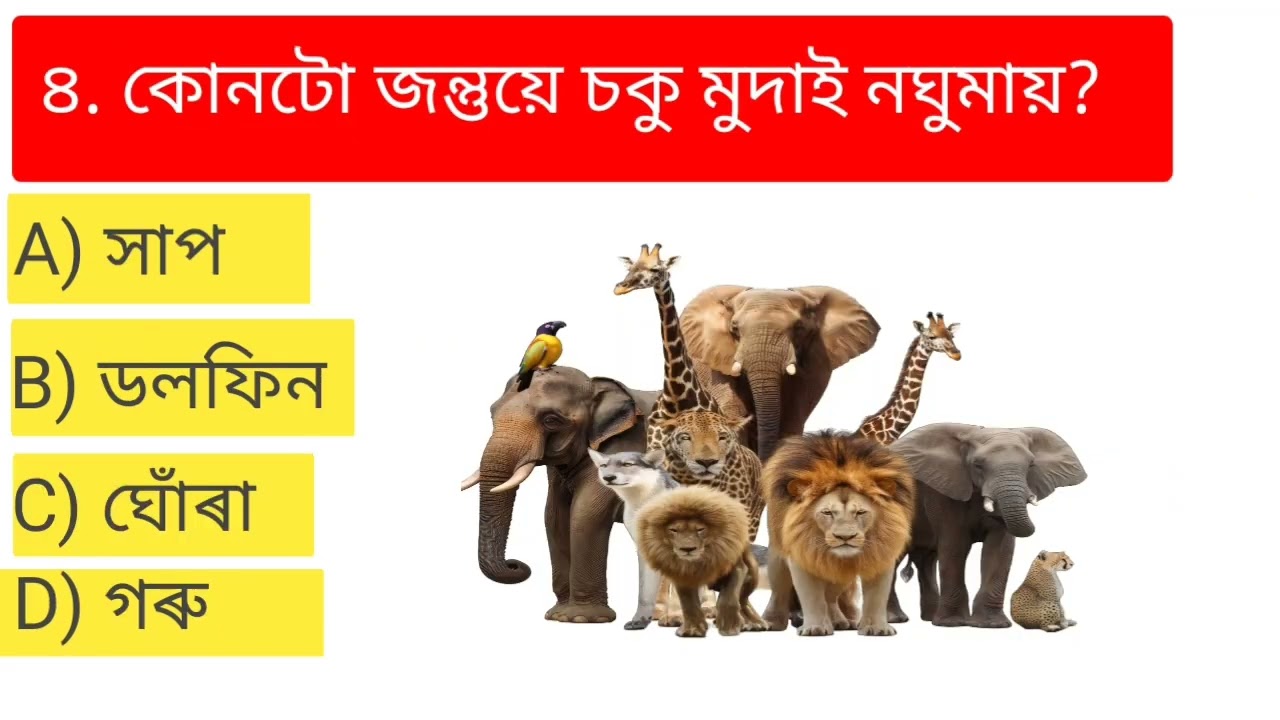  Gk অতি দৰকাৰী প্ৰশ্ন উওৰ সমূহ। ✅✅
